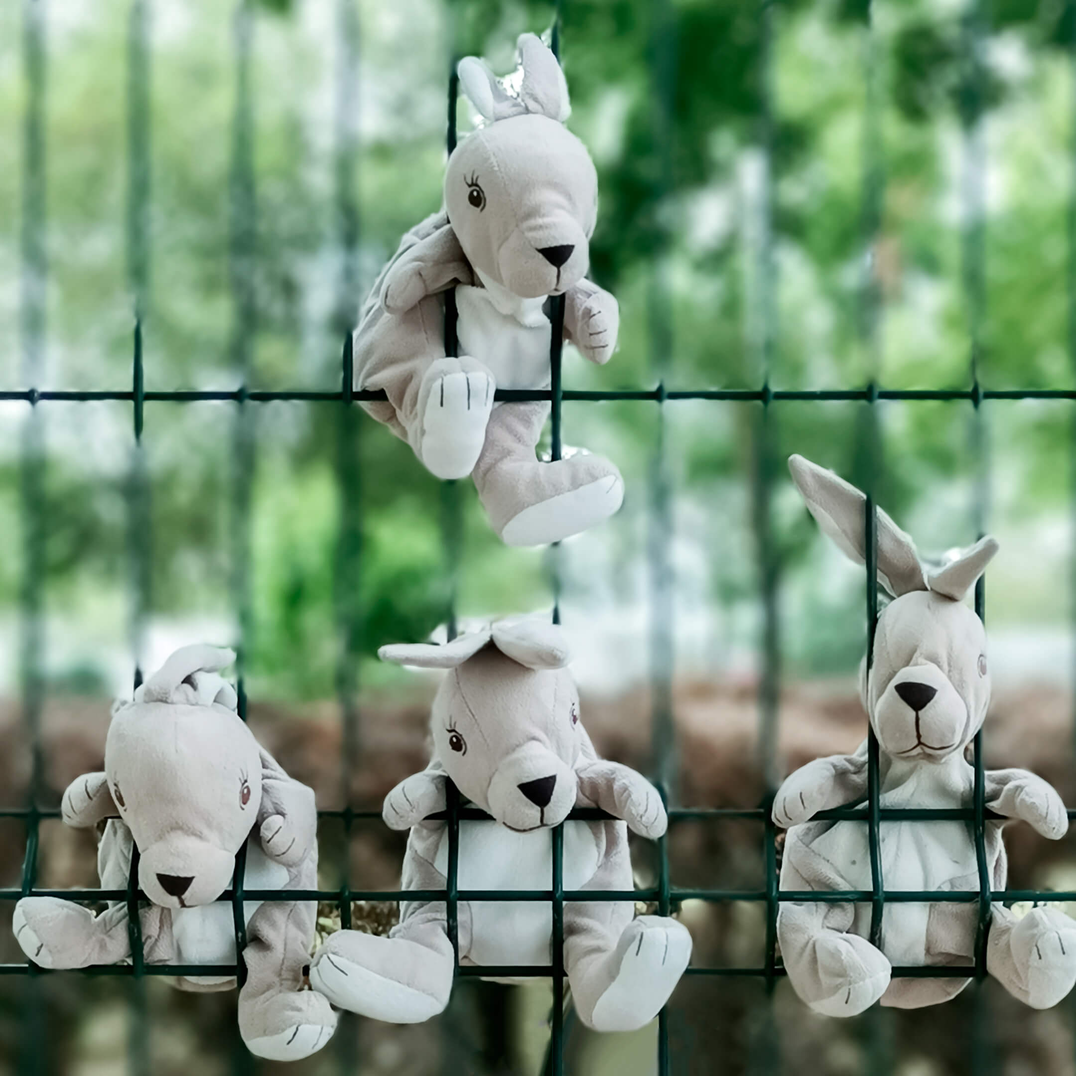 Foto van vier knuffeldieren. De Gosig Kanin van IKEA. Op de foto is te zien dat de telefoon de foto verminkt heeft in een poging de scherptediepte te bewerken.