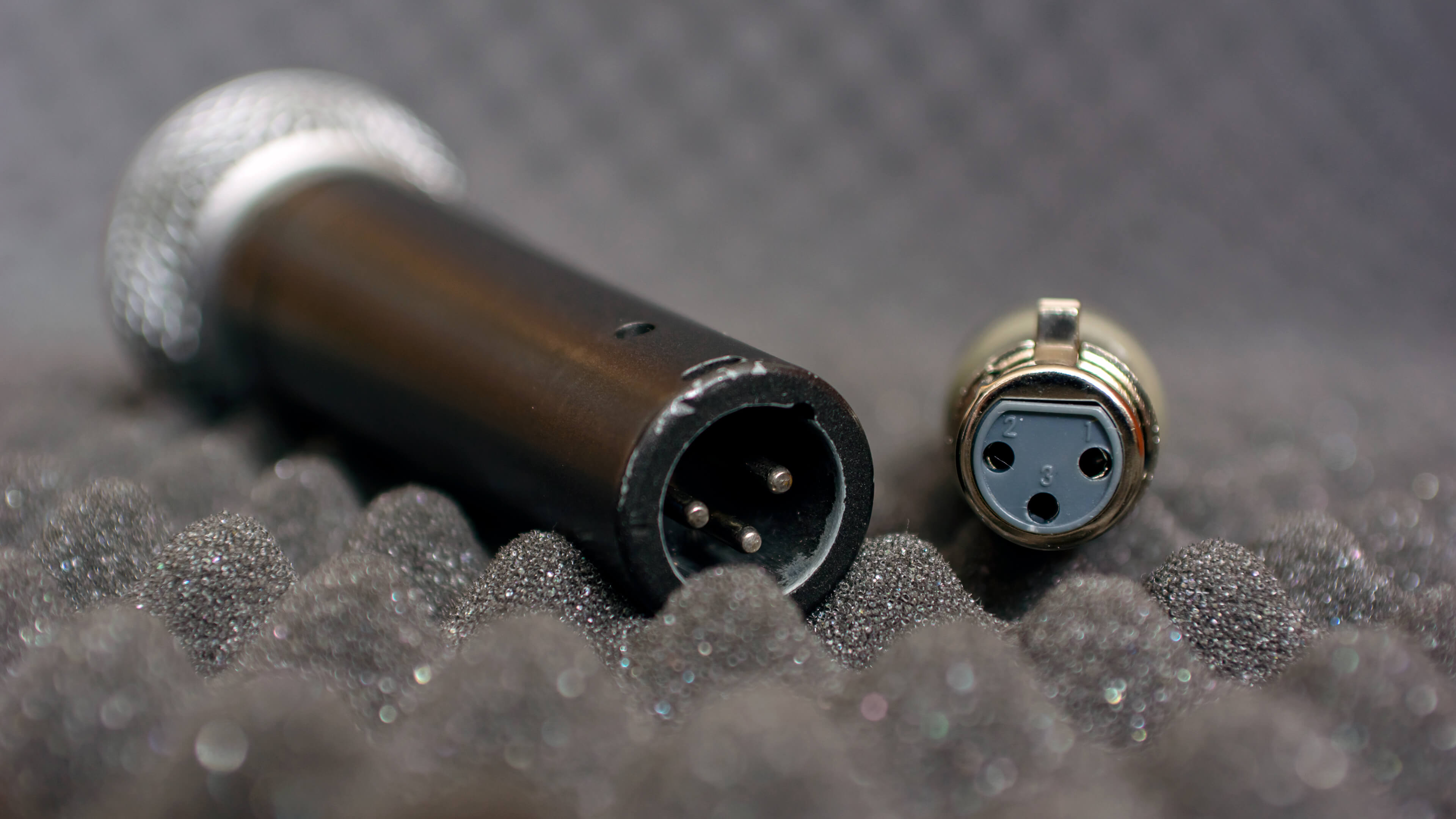 Foto van de xlr-aansluitingen van de Triton Fethead en een Shure SM58 microfoon.