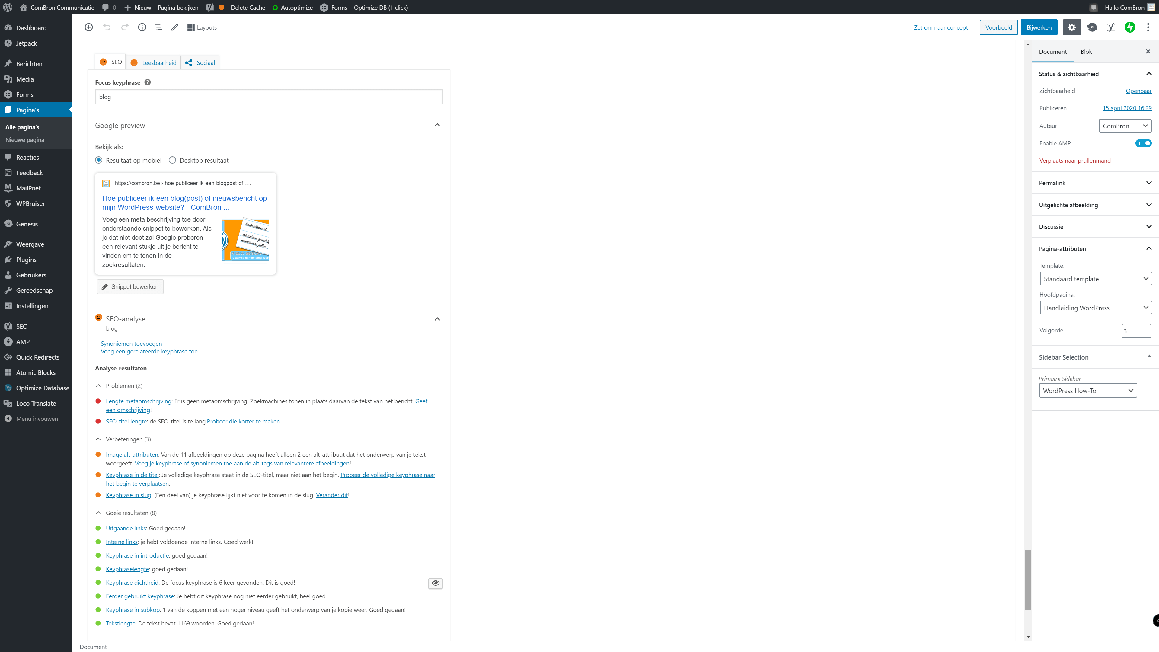 Afbeelding van het gedeelte van het beeldscherm waarop je kan zien hoe Google je SEO zal beoordelen.