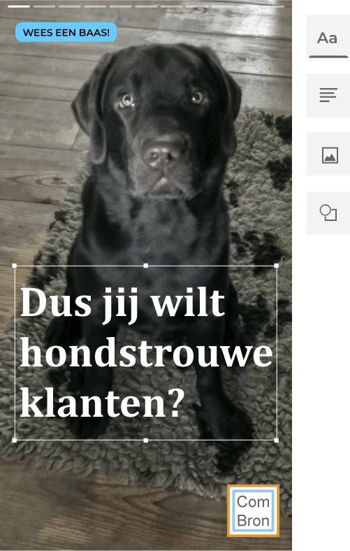 Afbeelding van een labrador retriever met tekst: "Dus jij wilt hondstrouwe klanten?" en een tekst: "Wees een baas!". De afbeelding hoort bij de handleiding voor Google Web Stories.