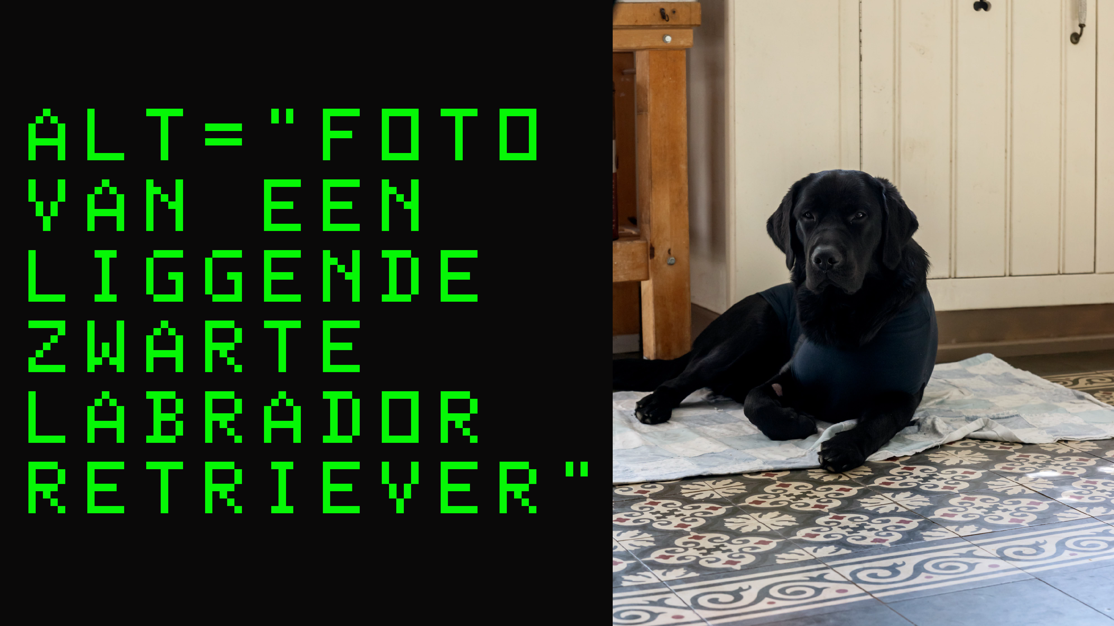 Afbeelding met voorbeeld alttekst en foto van een zwarte hond. De tekst luidt als volgt: "alt=foto van een liggende zwarte labrador retriever"