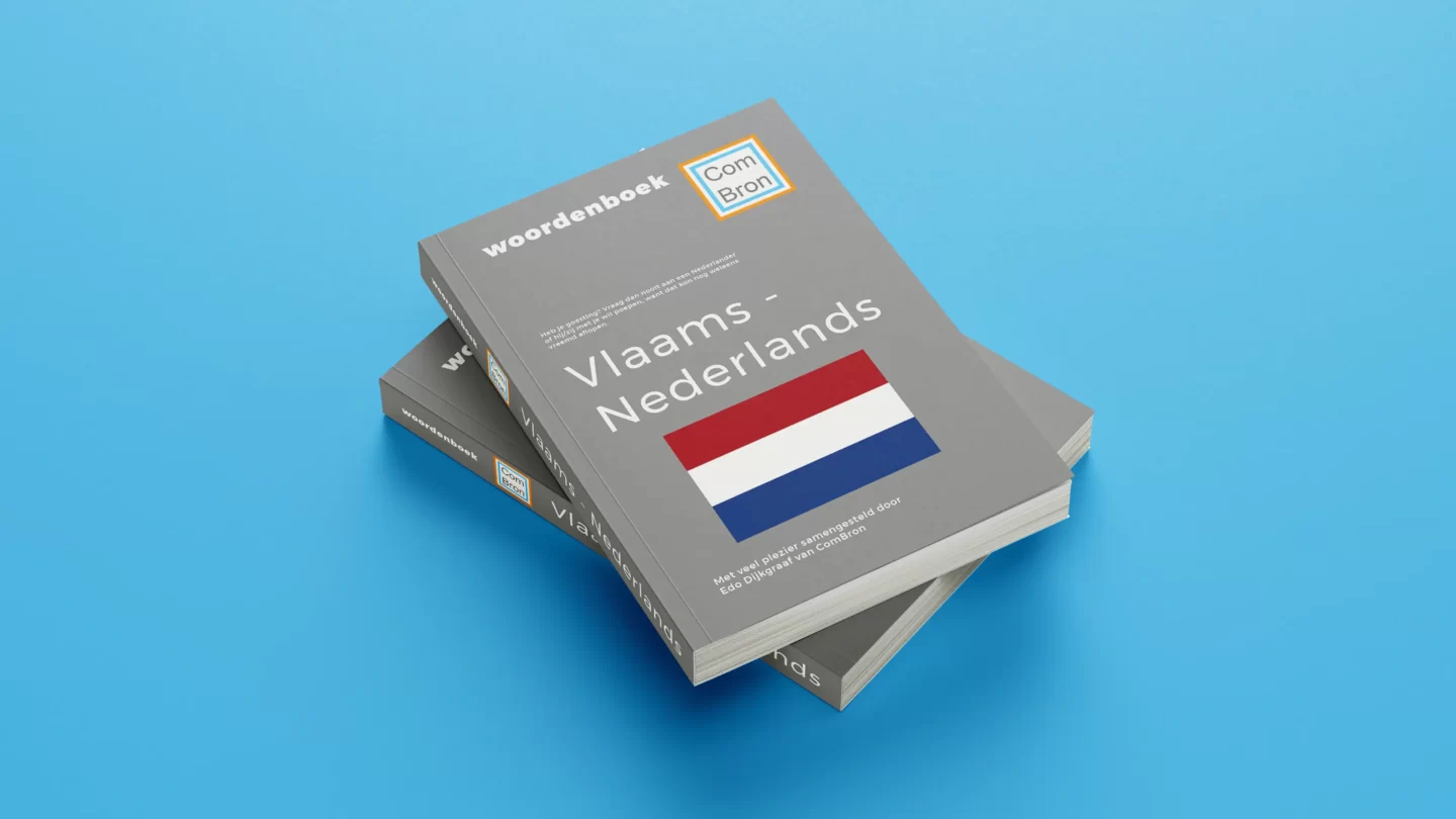 Afbeelding van een mockup (een fingering) van twee op elkaar gestapelde Vlaams - Nederlandse woordenboeken. Het onderste Vlaams - Nederlandse woordenboek ligt op een blauwe ondergrond.