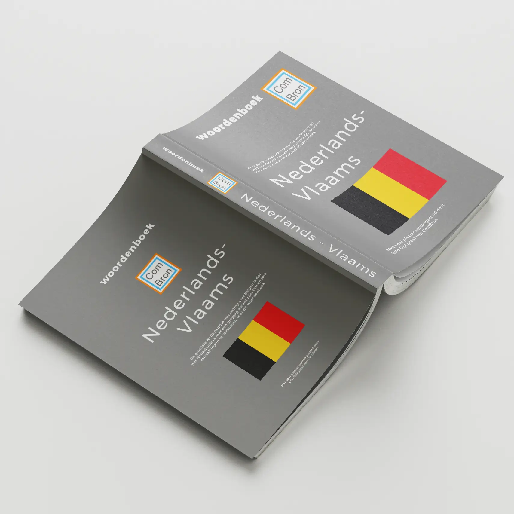 Foto van een Nederlands - Vlaams woordenboek dat opengeslagen ligt.