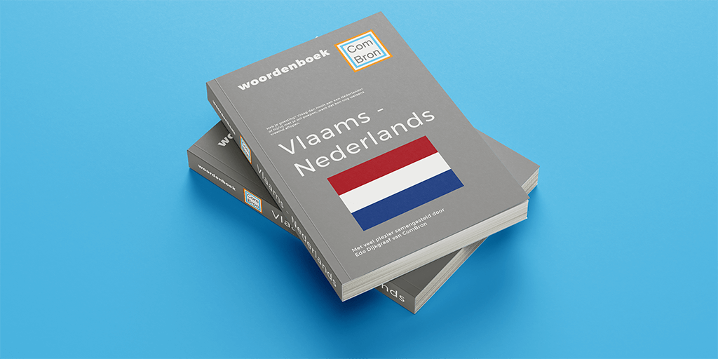 Afbeelding van een mockup (een fingering) van twee op elkaar gestapelde Vlaams - Nederlandse woordenboeken. Het onderste Vlaams - Nederlandse woordenboek ligt op een blauwe ondergrond.