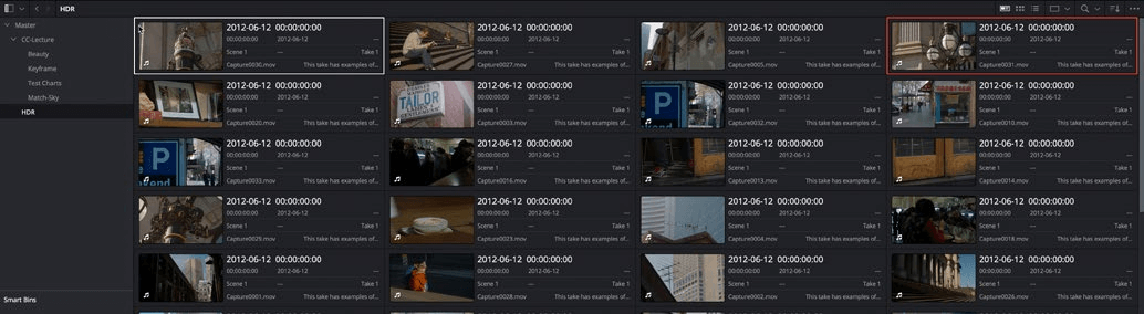 Selected bins clips Media Pool.